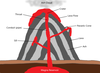 Volcano Diagram Image